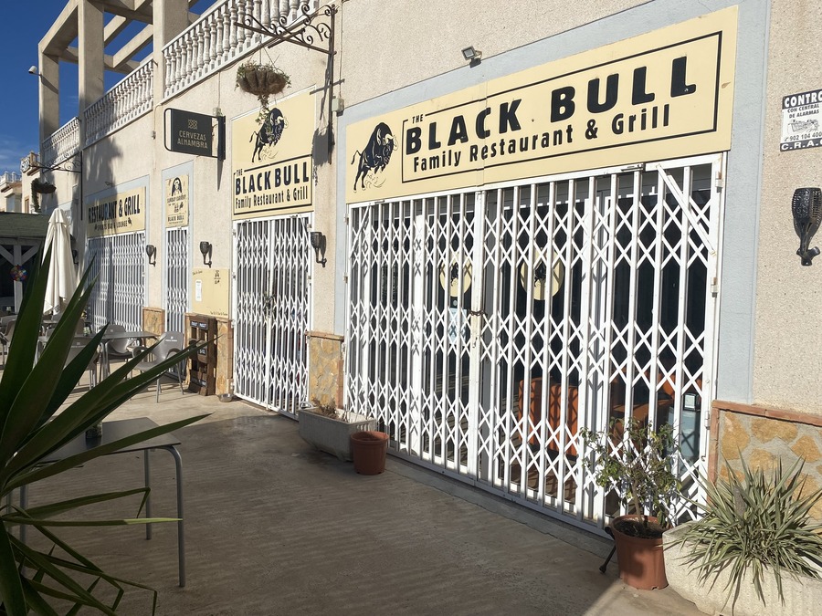 sun636: Business for rent in San Miguel de Salinas ,Lake View Mansions