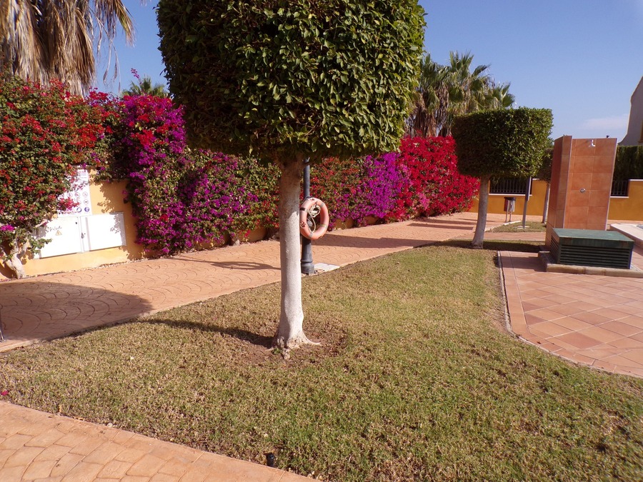 SUN637: Detached Villa for sale in Cabo Roig ,Lomas de Cabo Roig