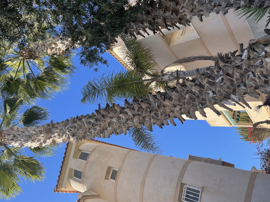 SUN687: Villa for sale in San Miguel de Salinas ,La Fuente