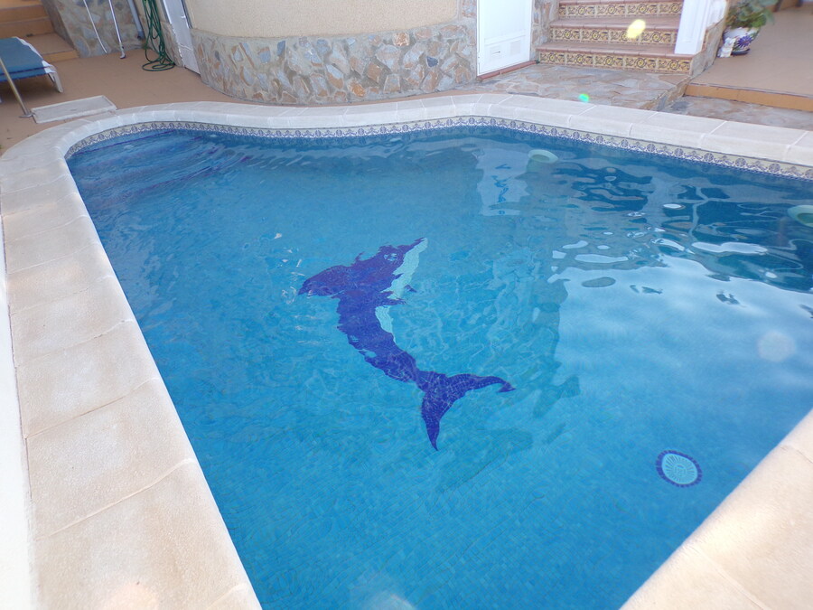 SUN731: Detached Villa for sale in Villamartin ,El Galan