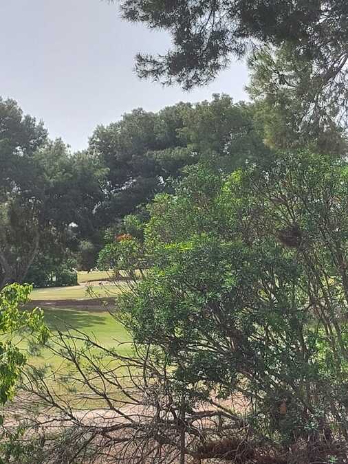 SUN748: Apartment for sale in Villamartin ,Villamartin Plaza