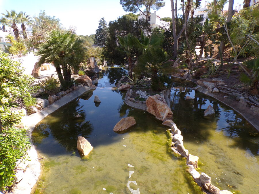 SUN749: Apartment for sale in Villamartin ,Verdermar 111