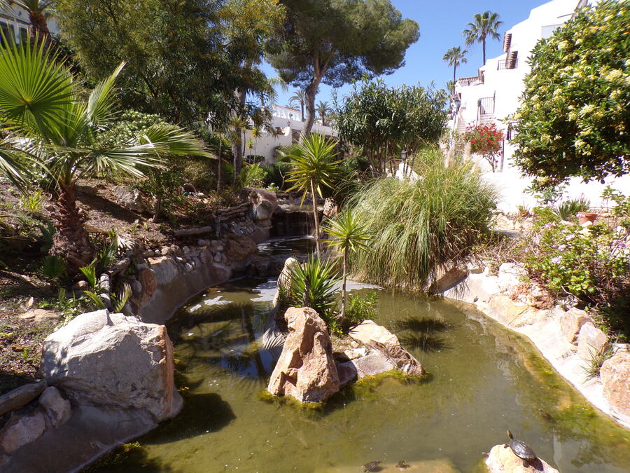 SUN749: Apartment for sale in Villamartin ,Verdermar 111