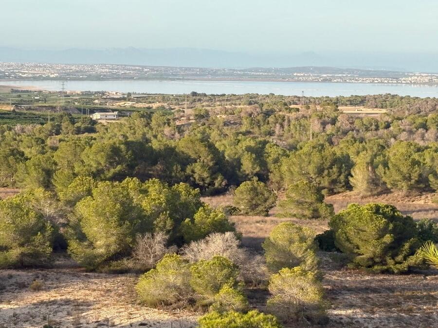 SUN763: Villa for sale in San Miguel de Salinas ,Eagles Nest
