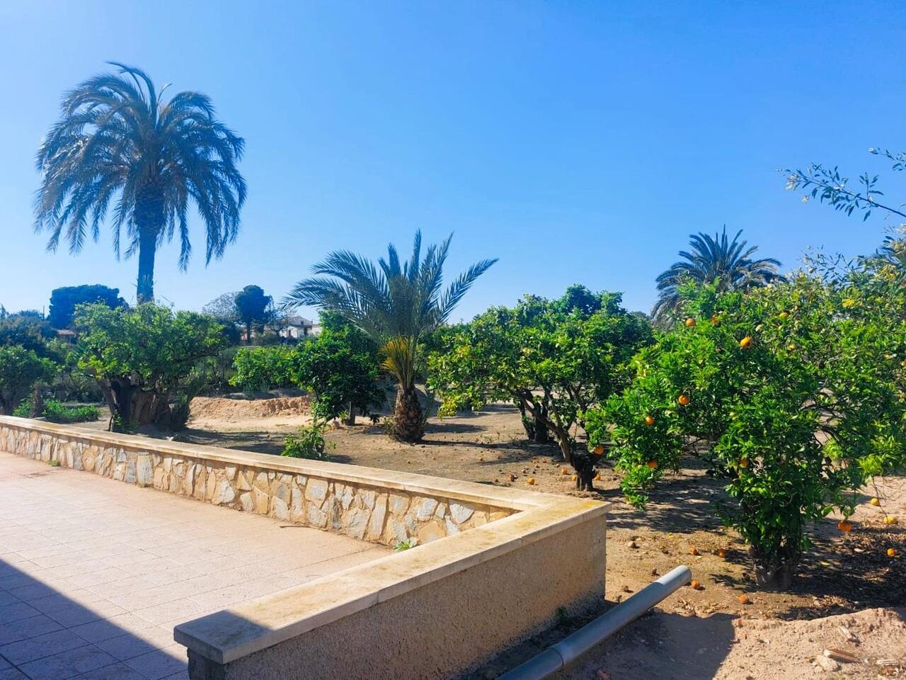 COR2896-2344: Masia for sale in La marina