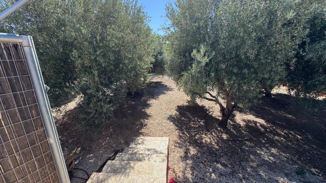 COR2980-2344: Country House for sale in Albatera